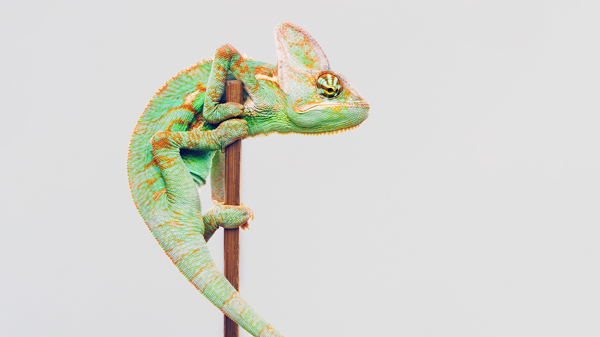 Gears turning, symbolizing adaptive and flexible teaching strategies.